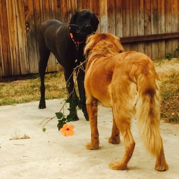 Meet your Posher, Julia - Picture 7 of 11